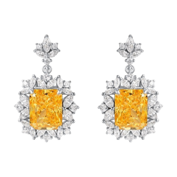S925 silver high carbon diamond earrings